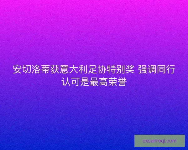 安切洛蒂获意大利足协特别奖 强调同行认可是最高荣誉