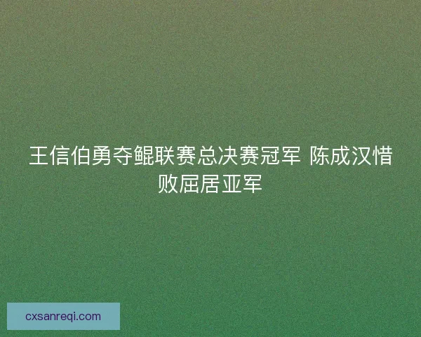 王信伯勇夺鲲联赛总决赛冠军 陈成汉惜败屈居亚军 王信伯勇夺鲲联赛总决赛冠军 陈成汉惜败屈居亚军